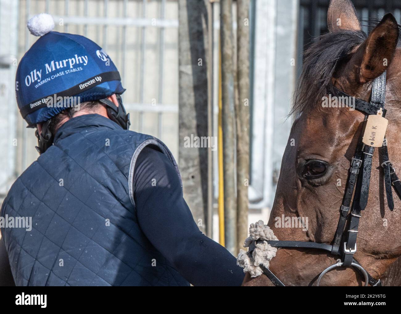 Oll Murphy Racing Olly murphy trainer hi-res stock photography and images - Alamy
