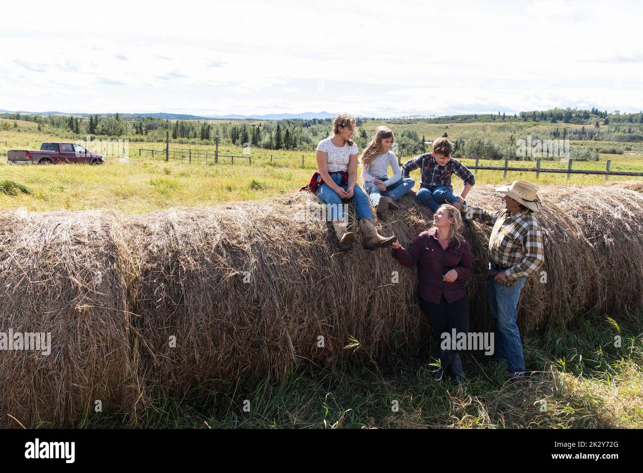 View of Hay family hi-res stock photography and images - Alamy