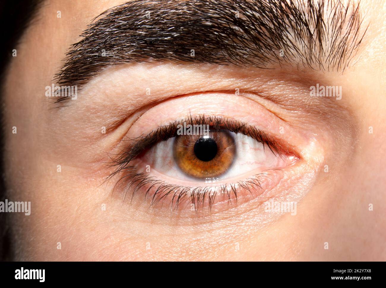 Image of man's brown eye close up. Insightful look Stock Photo