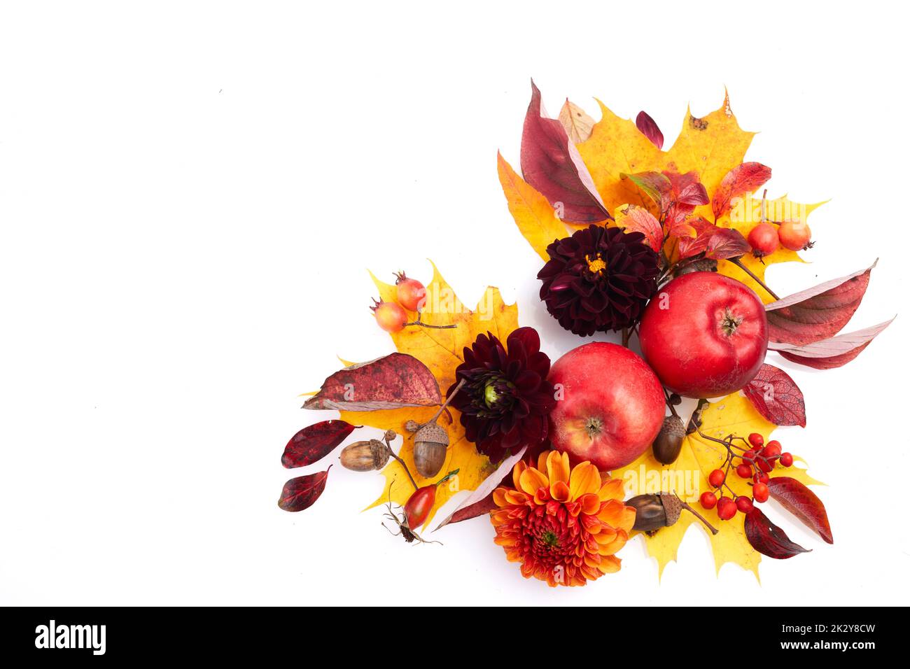 Composition of colorful fruits, berries, cones. Top view on white background. Autumn flat lay. Stock Photo