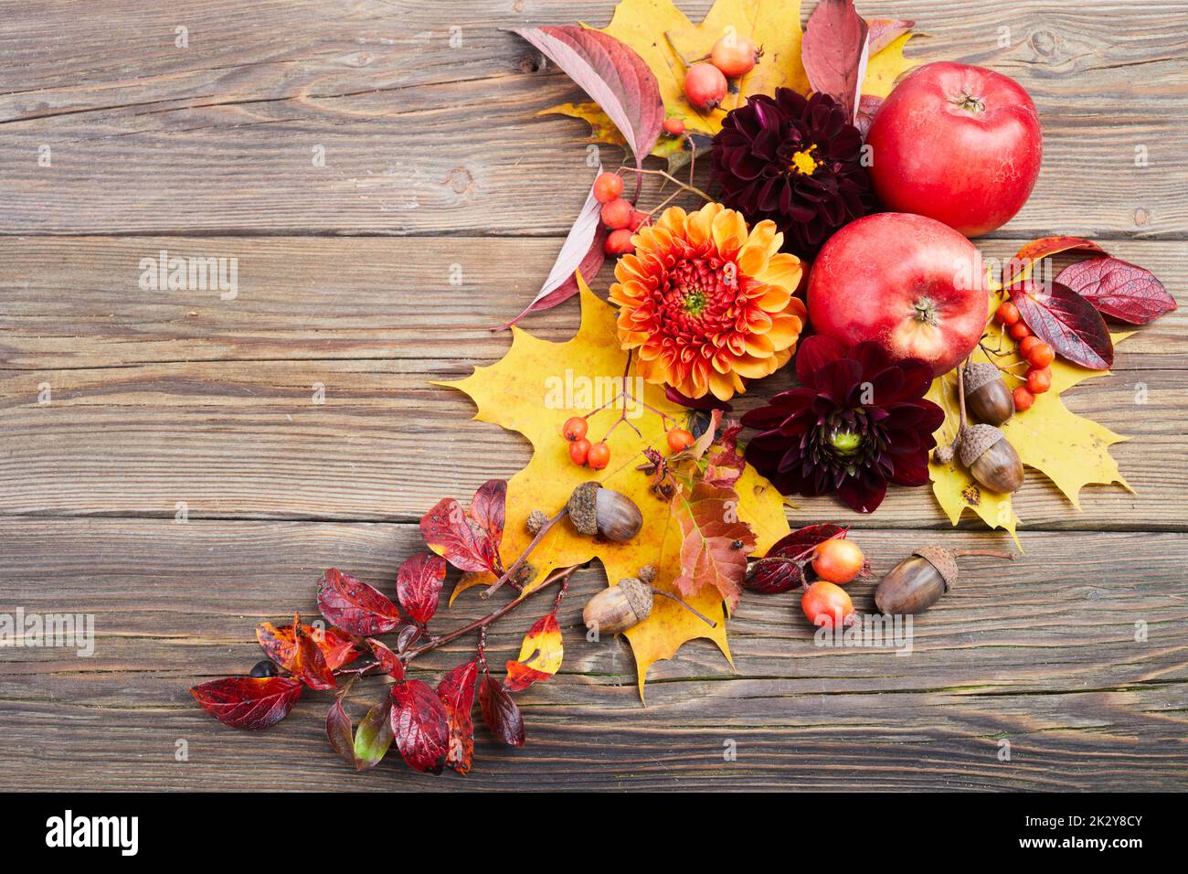 Composition of colorful fruits, berries, cones. Top view on wooden background. Autumn flat lay. Stock Photo