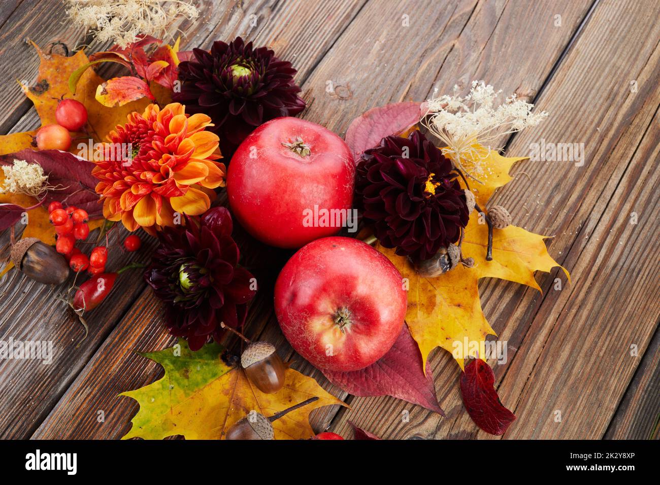 Composition of colorful fruits, berries, cones. Top view on wooden background. Autumn flat lay. Stock Photo