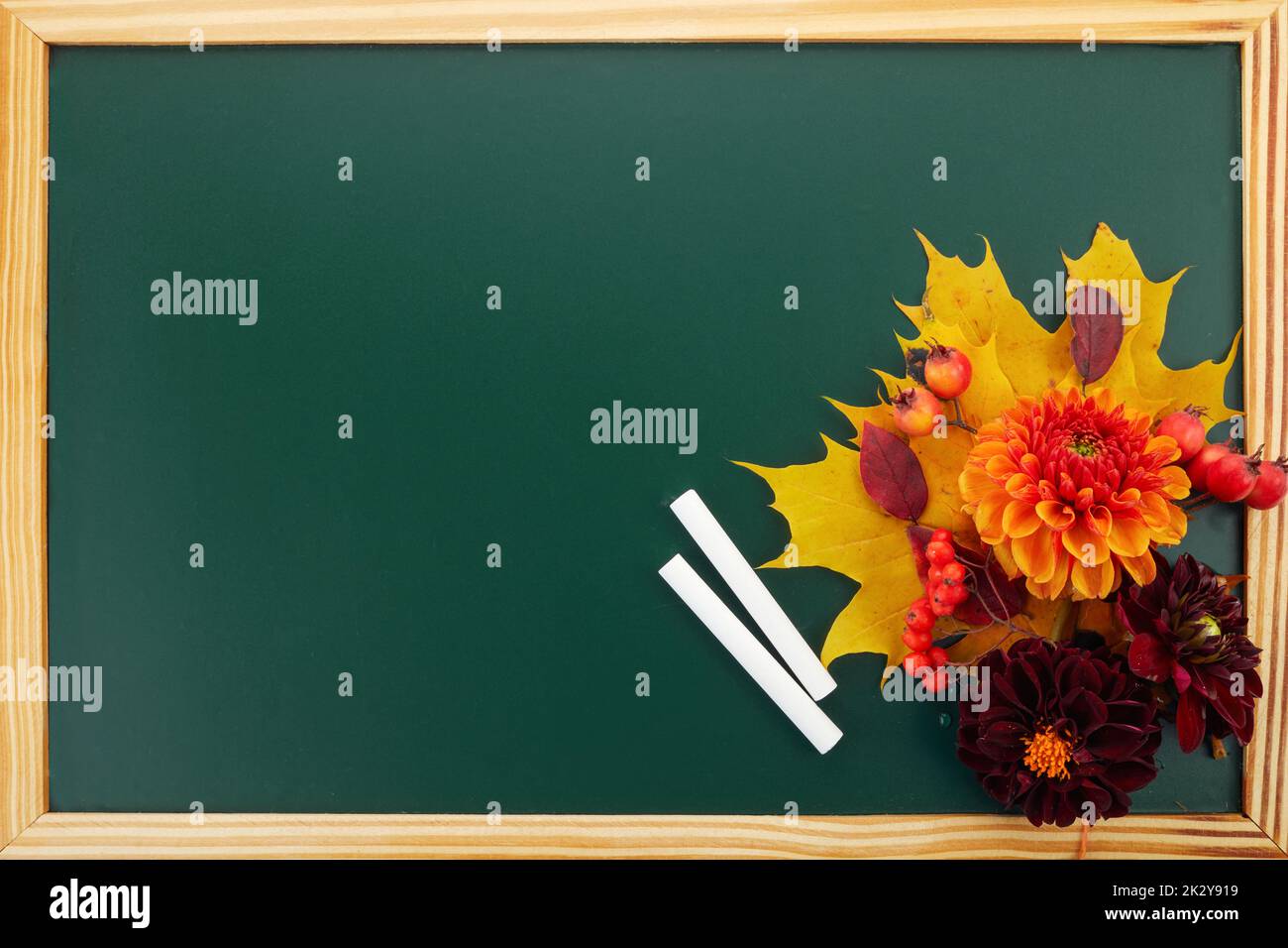 Composition with flowers on green chalkboard and space for text. Teacher's day Stock Photo
