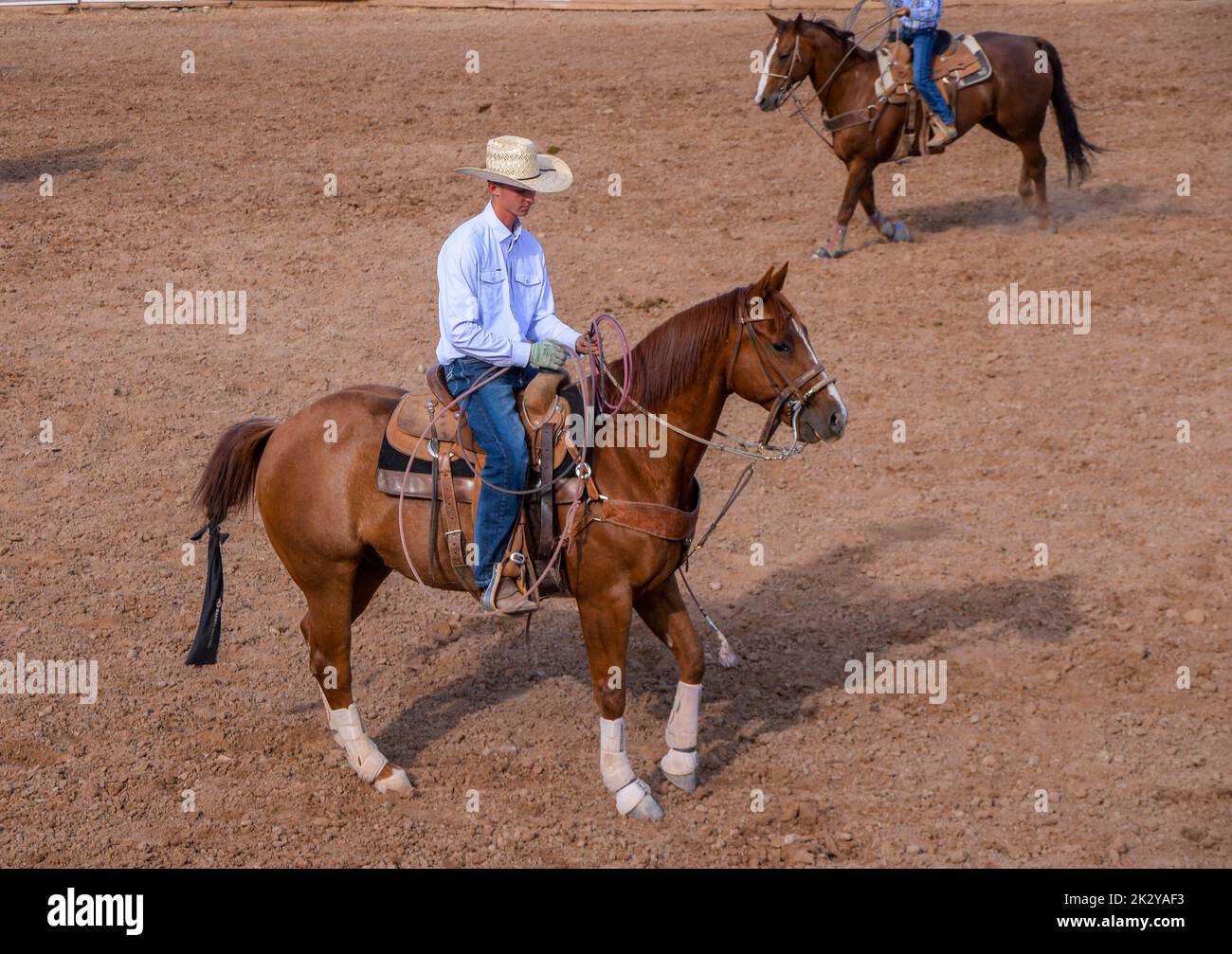 A young well dressed cowboy trots slowly around the arean at a Rodeo in Fruita Colorado USA Stock Photo