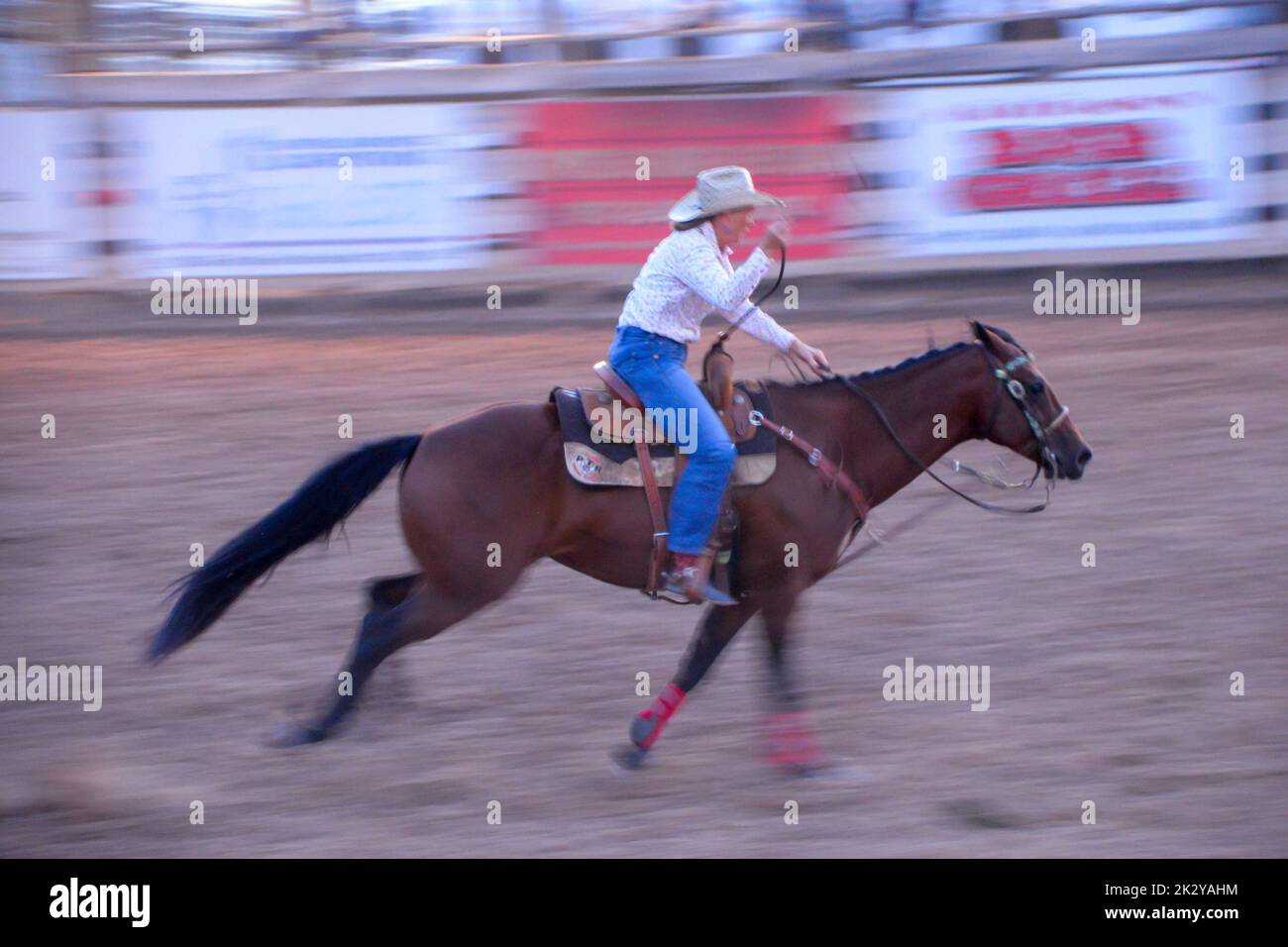 A cowgirl gallops at full speed in the barrel racing event of a Rodeo in Colorado Stock Photo