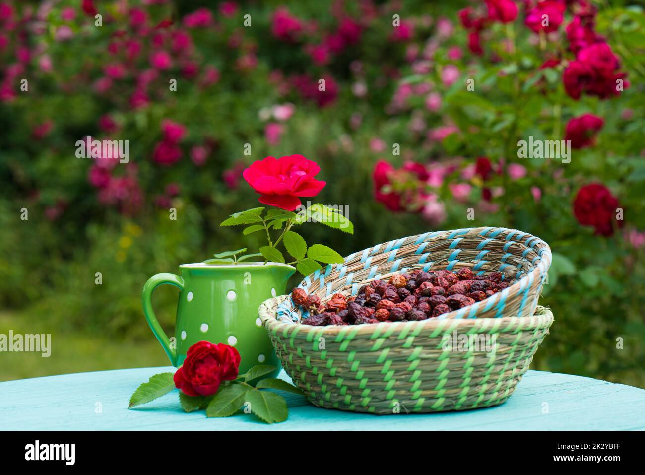 Many rose hips in a basket Stock Photo