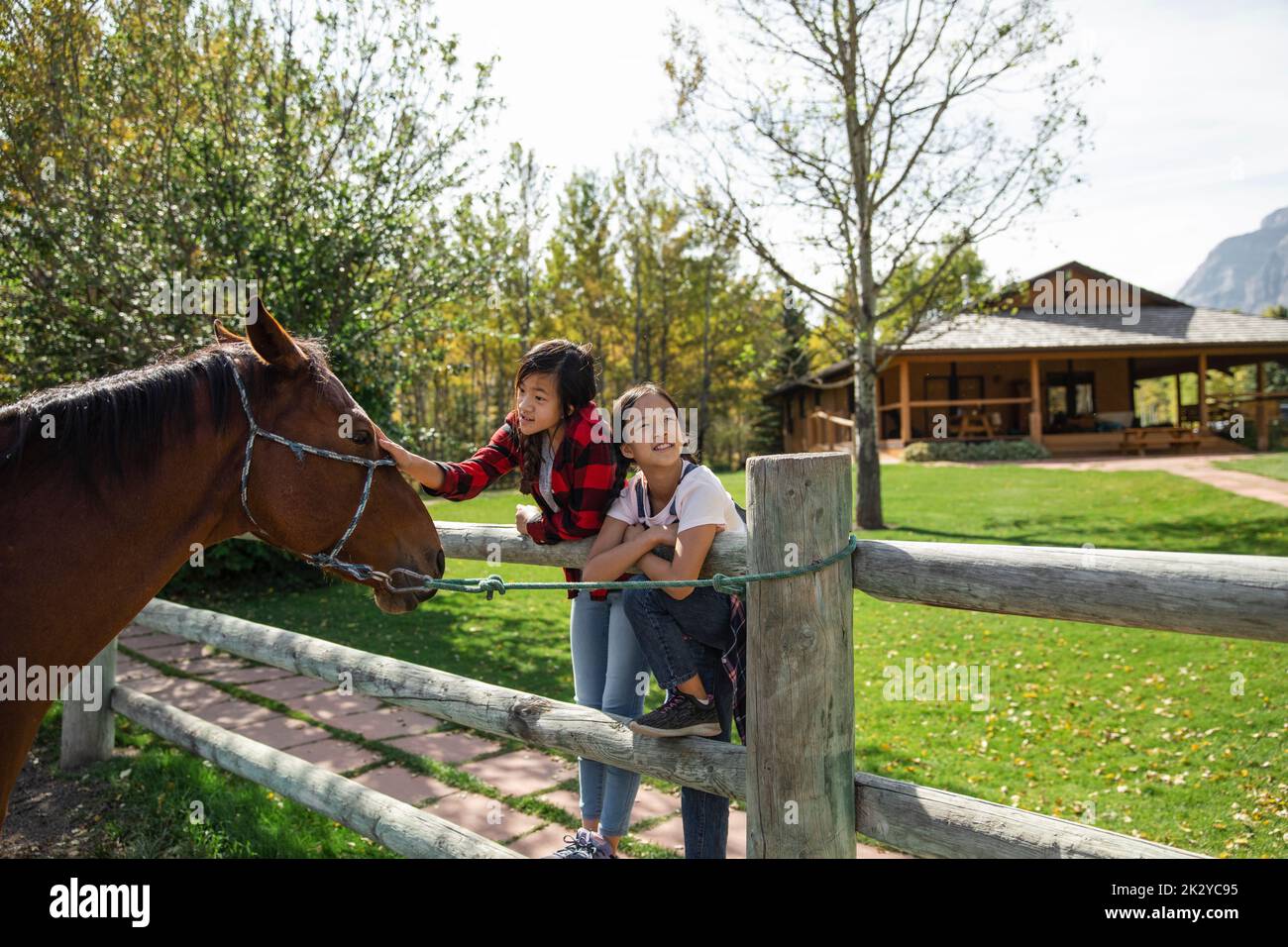 Girl petting a horse hi-res stock photography and images - Alamy