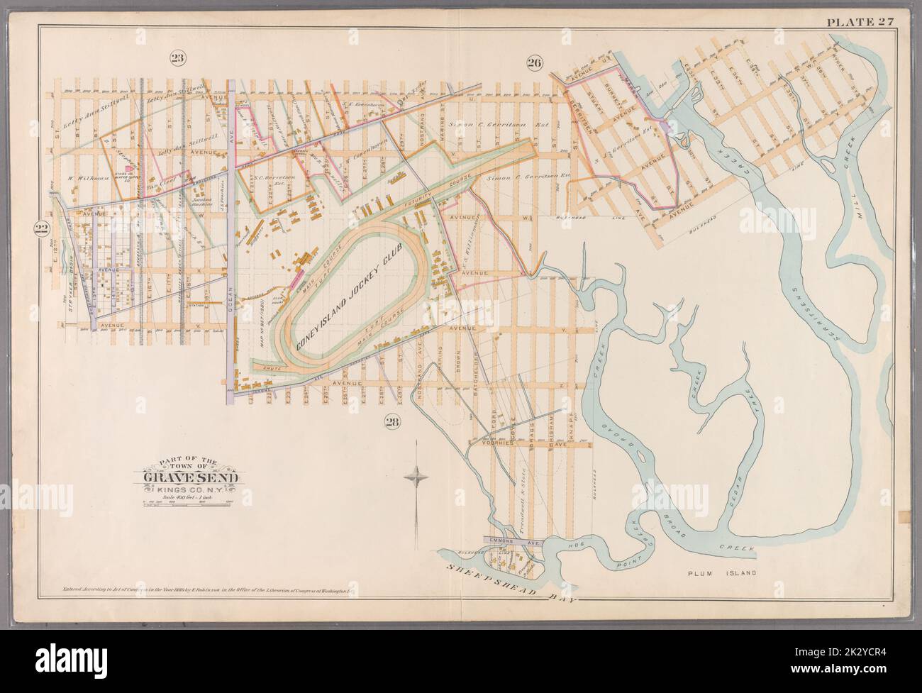 F. Bourquin & Co.. Cartographic, Maps. 1890. Lionel Pincus and Princess