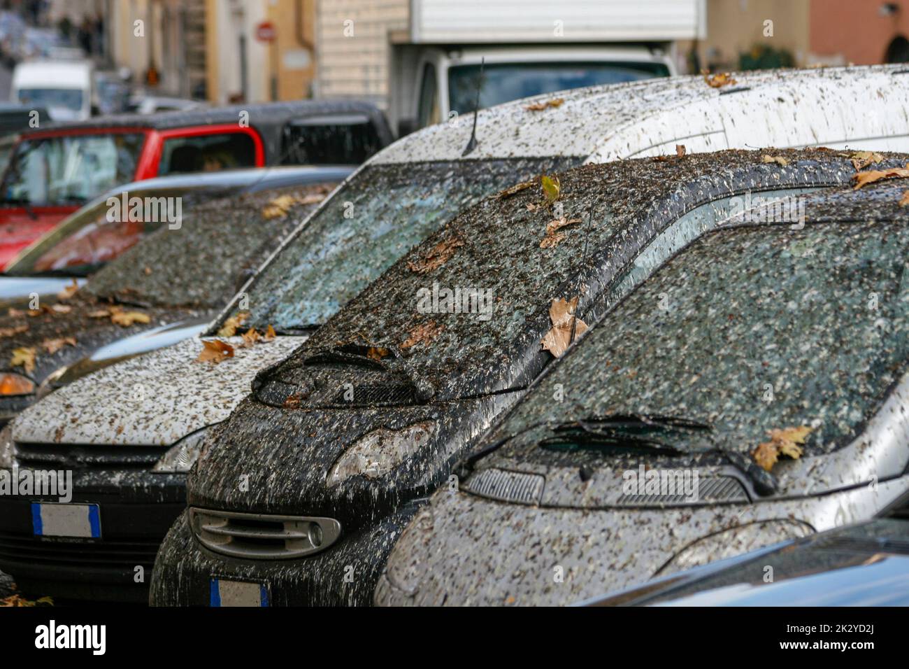 bird faeces and dirt on car windows Stock Photo