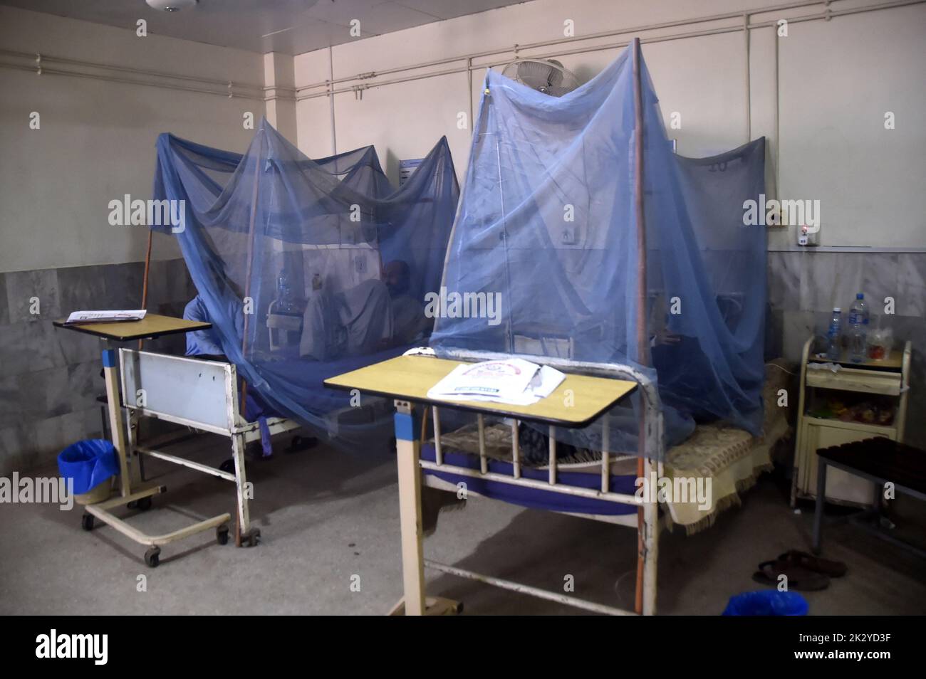 Peshawar, Pakistan. 23rd Sep, 2022. Patients infected with dengue fever are treated inside mosquito nets at a hospital in Peshawar, Pakistan, on Sept. 23, 2022. Dengue rampage continues in Pakistan with over 1,000 new cases reported. Credit: Saeed Ahmad/Xinhua/Alamy Live News Stock Photo