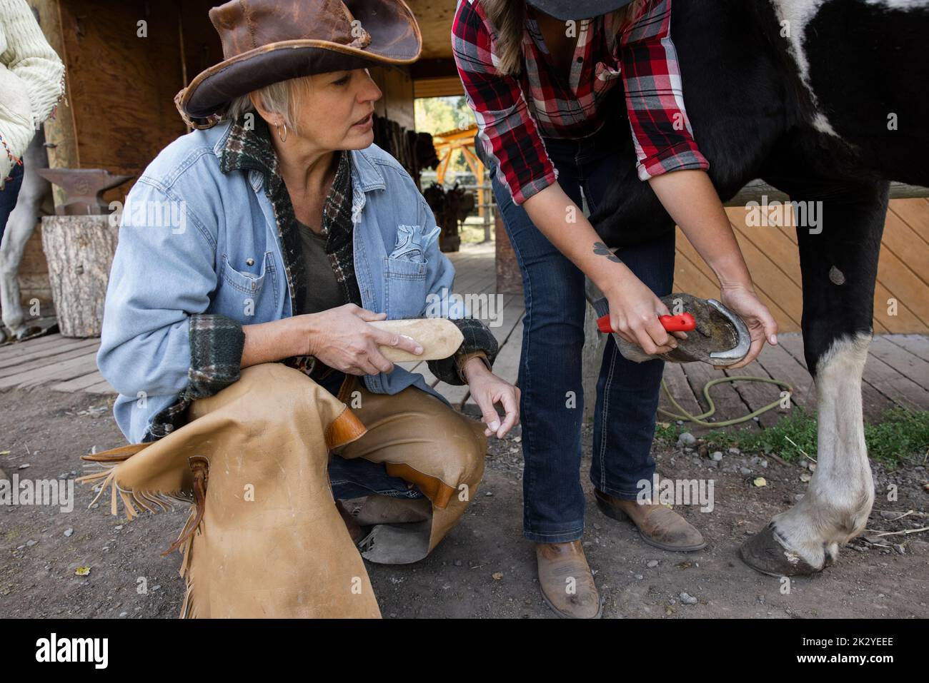 Rancher teaching woman how to clean horse hoof Stock Photo Alamy