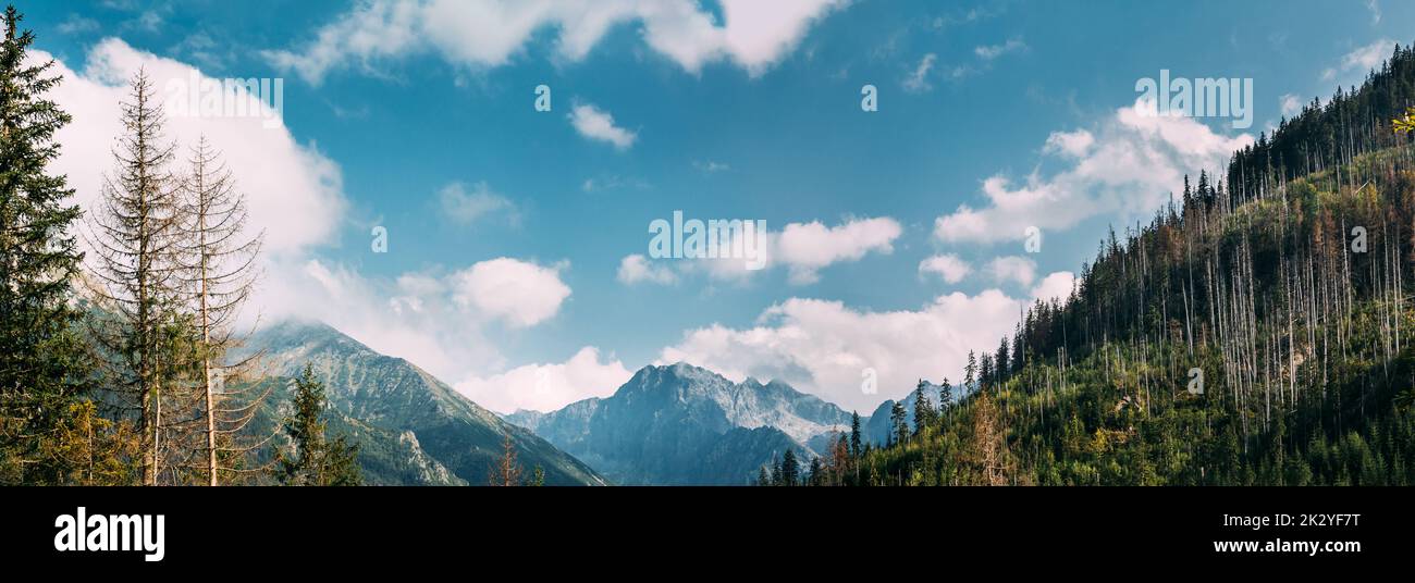 Tatra National Park, Poland. Summer Mountains And Forest Landscape. Beautiful Scenic View. Stock Photo