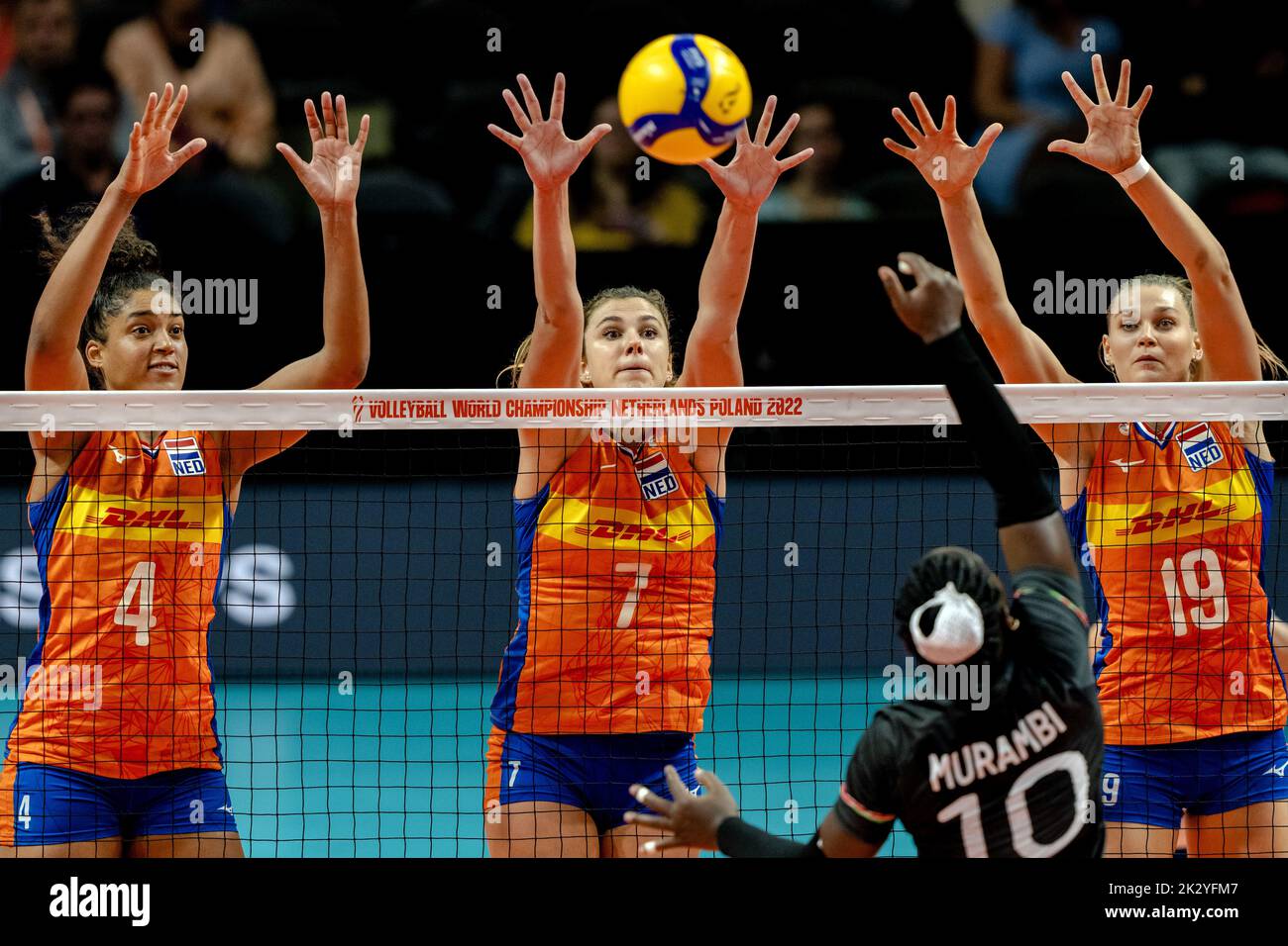 Netherlands women volleyball hi-res stock photography and images - Page 8