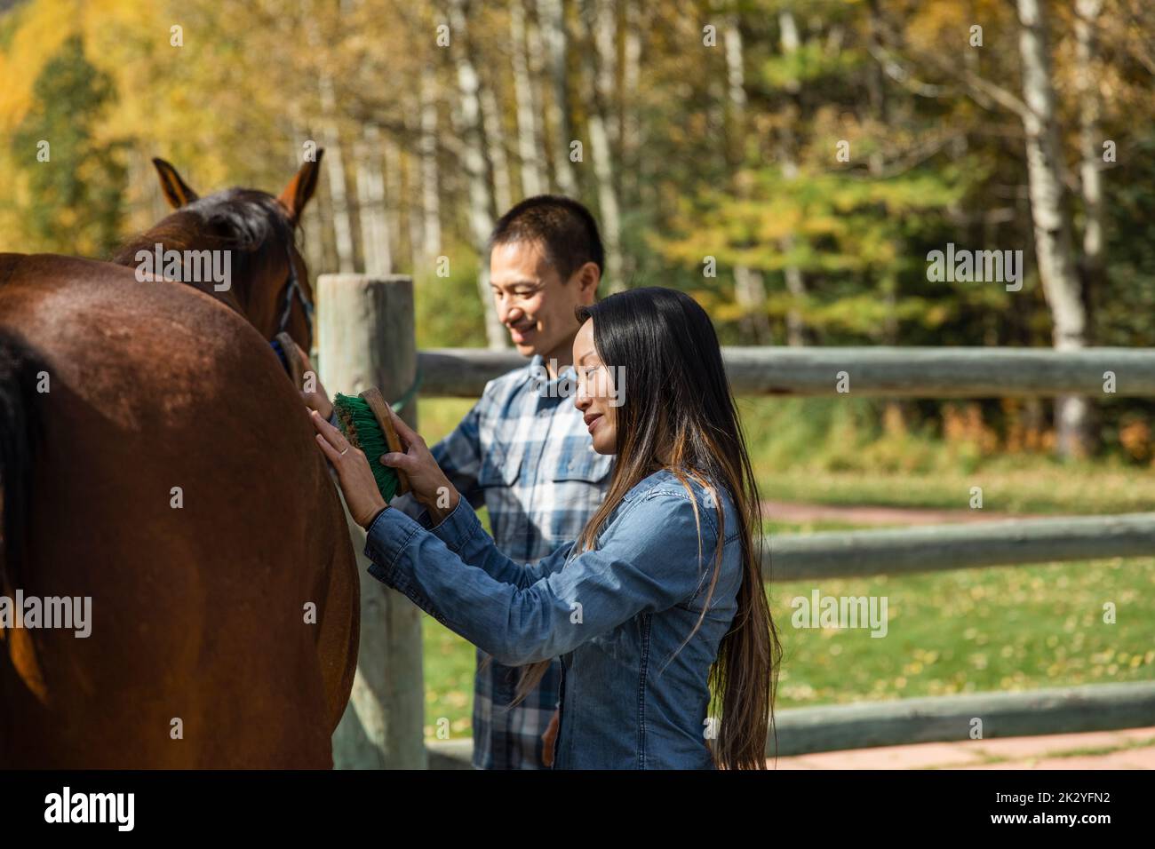Happy couple brushing horse in sunny autumn ranch paddock Stock Photo