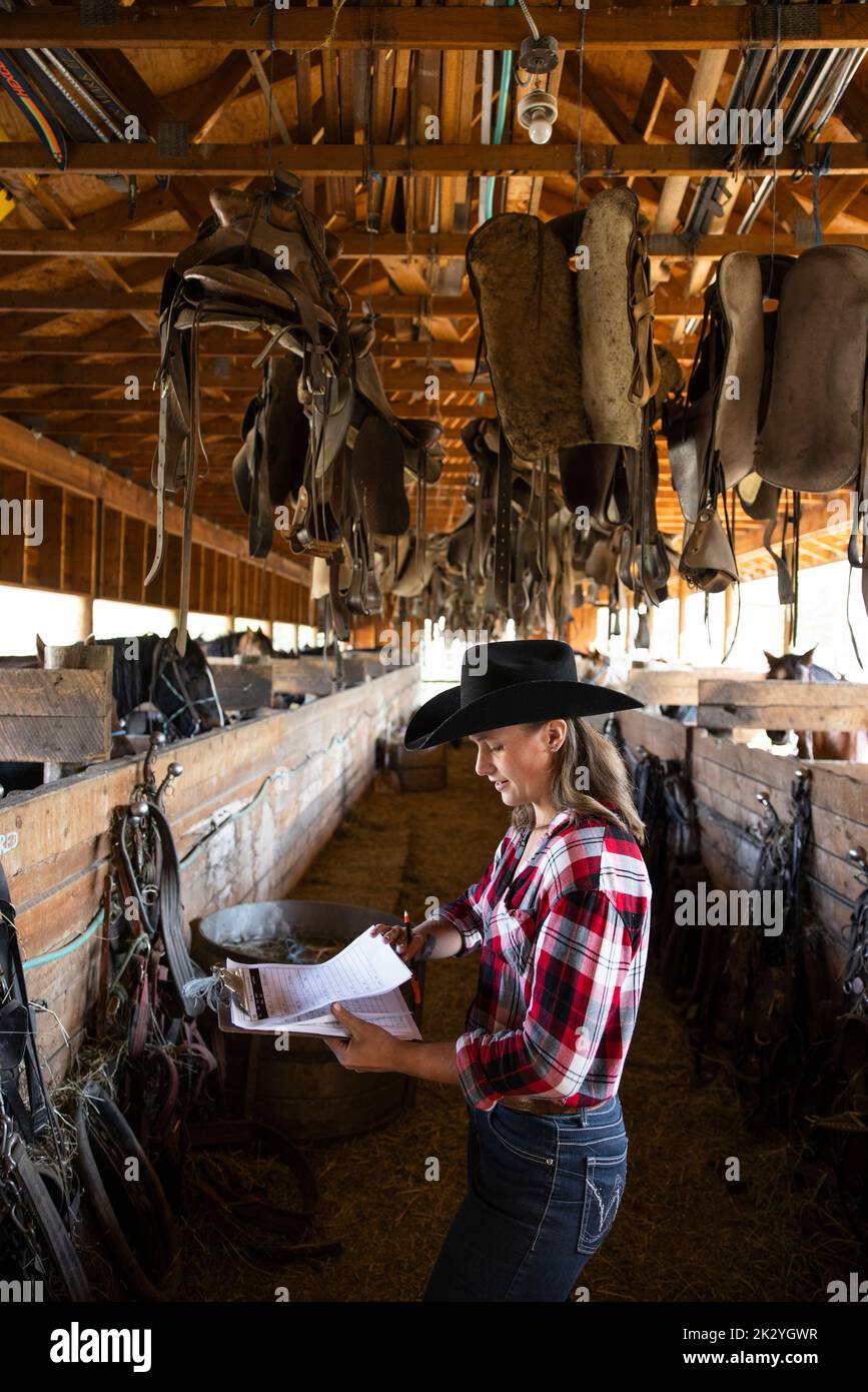 Young female rancher with clipboard working in horse stable Stock Photo