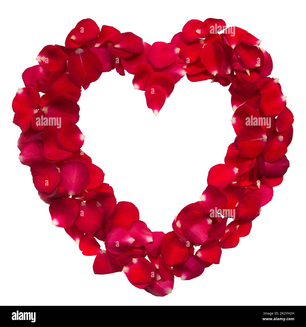 Heart shape ring formed by red rose petals Stock Photo Alamy