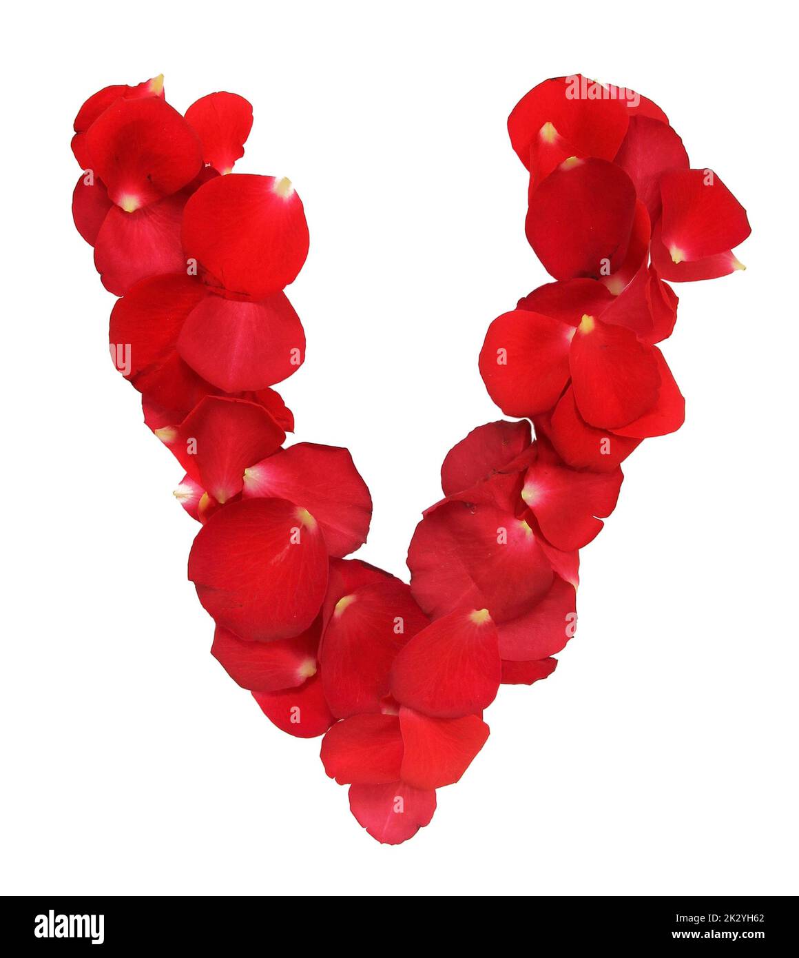 V Shape Roses Alphabet V formed by red rose petals on white background Stock Photo ...