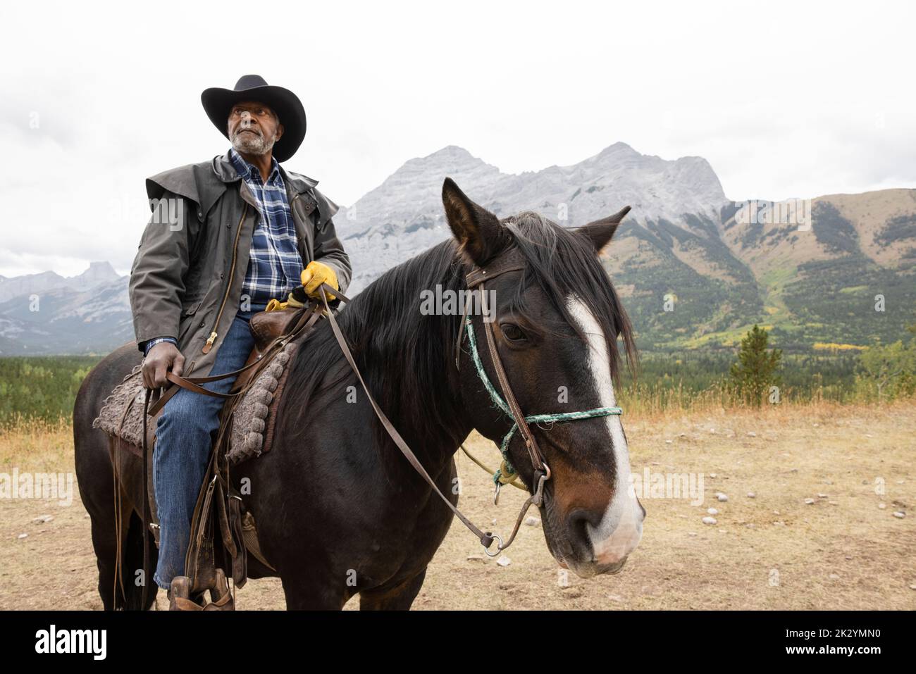 Senior male rancher horseback riding on scenic mountain trail Stock