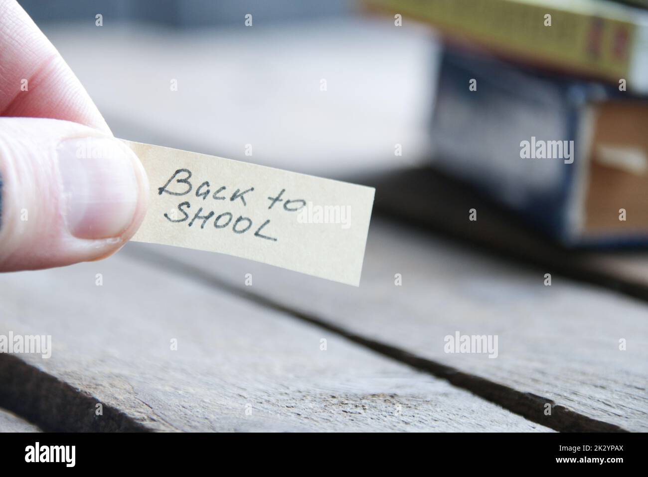 Back to school, creative concept on the table. Stock Photo