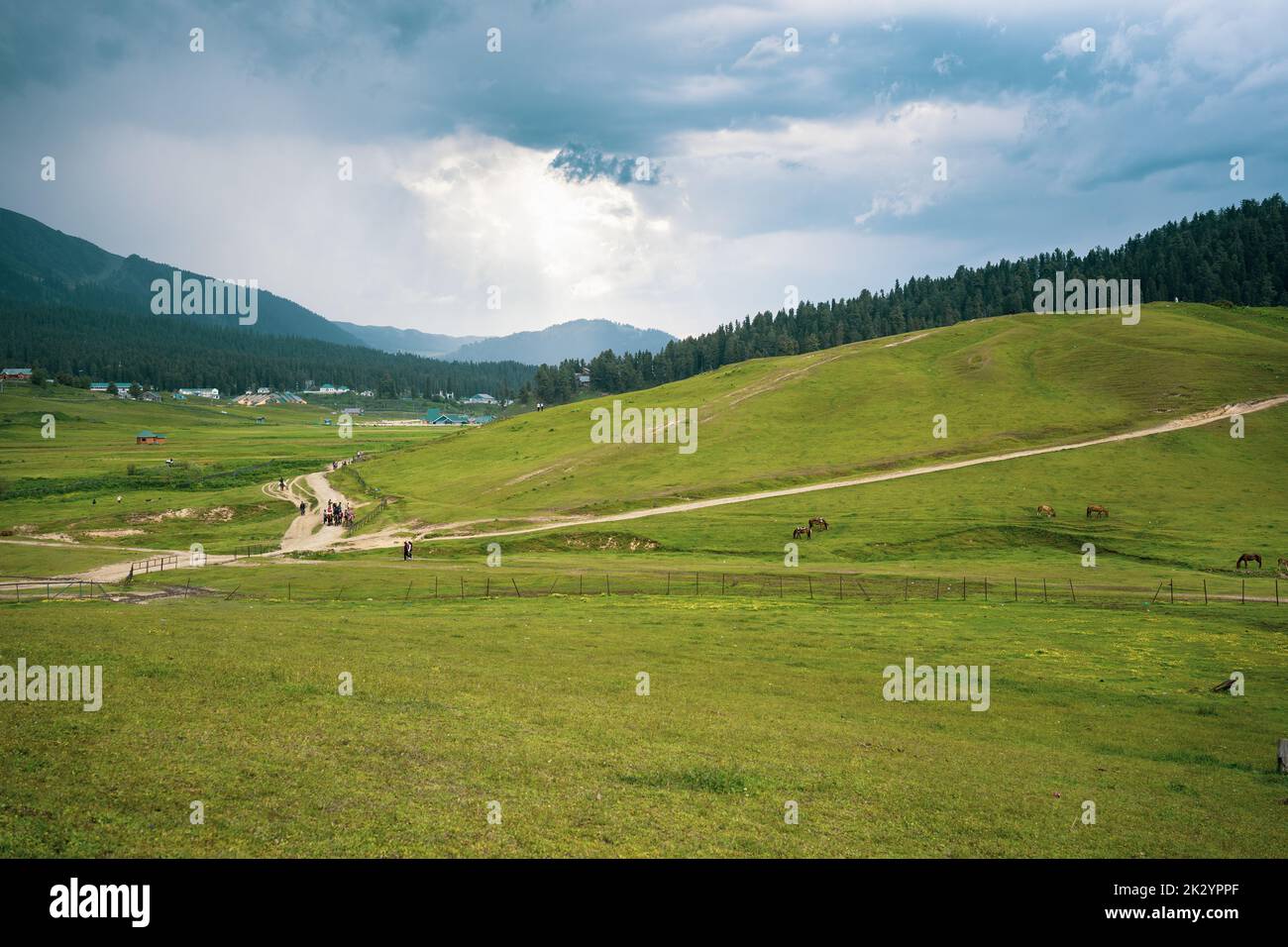 An aerial view of the green rural fields of Gulmarg, Baramulla, Jammu