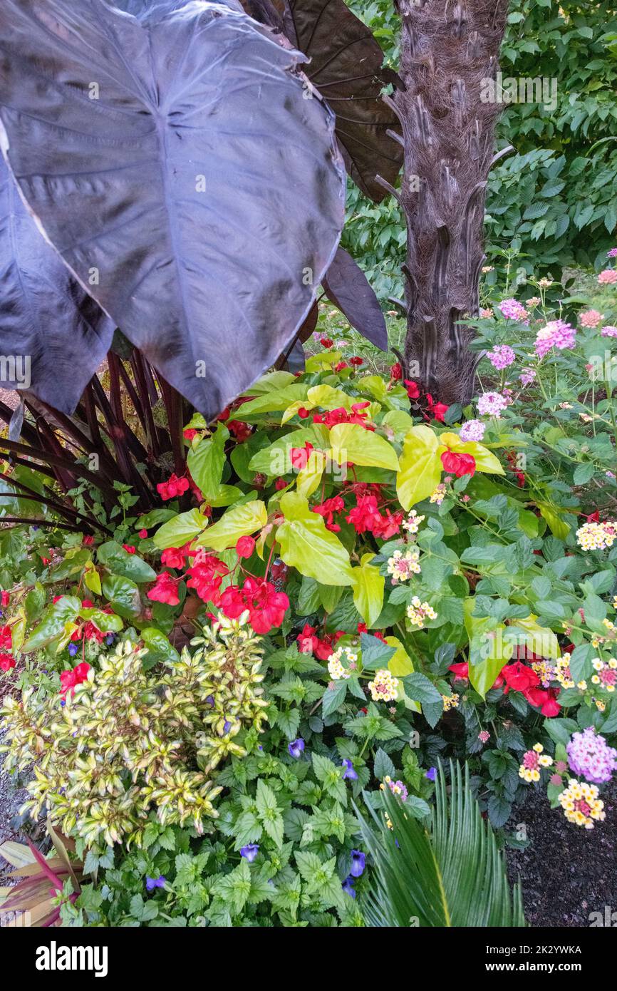 Stevens coolidge gardens hires stock photography and images Alamy