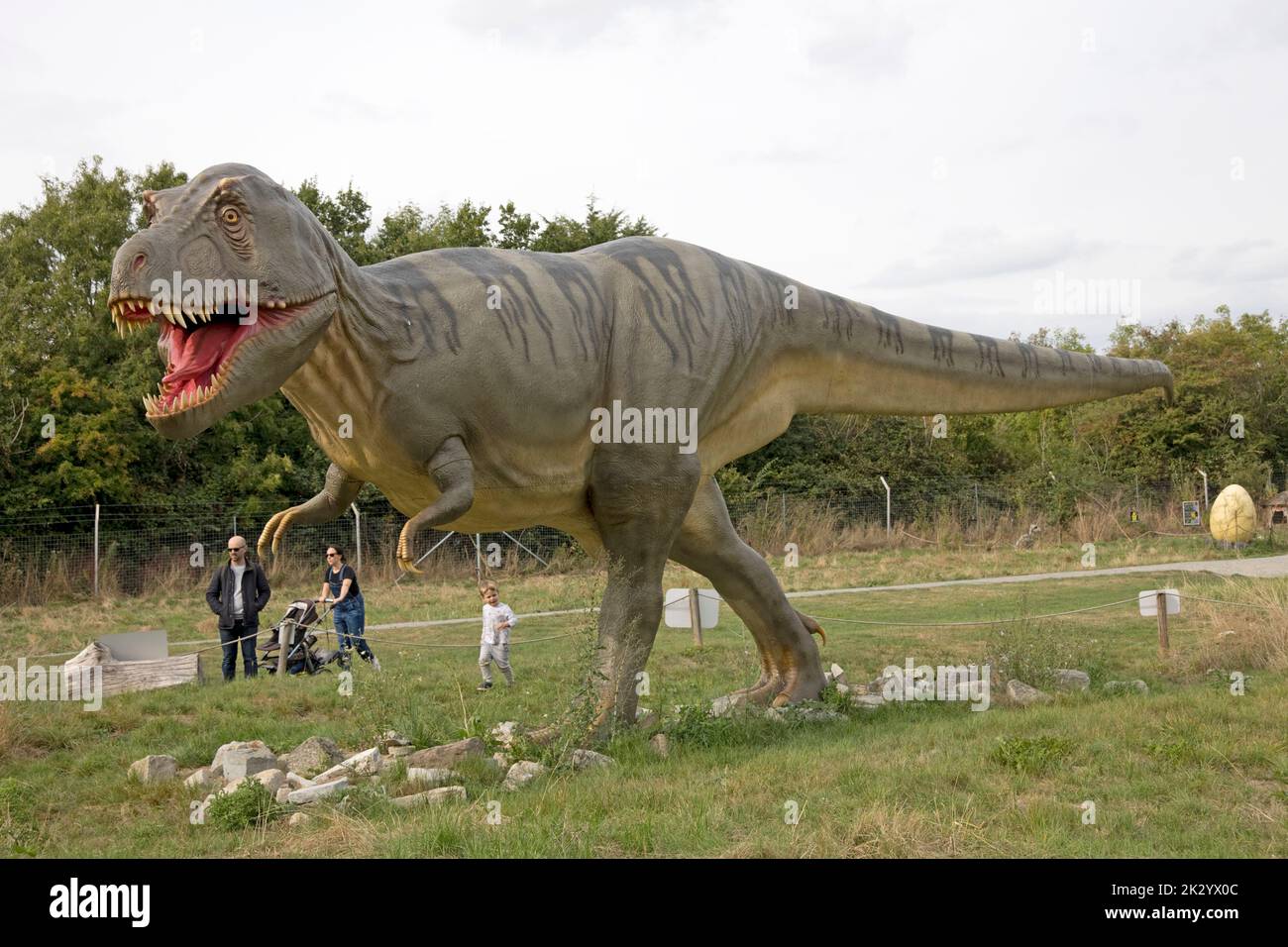 Family watching lifesize model of Tyrannosaurus rex a huge bipedal Theropod dinosaur at All Things Wild, Honeybourne, UK Stock Photo