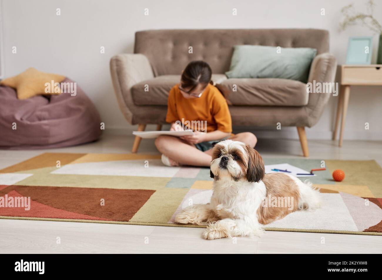 Portrait of cute small dog lying on carpet at home with teenage girl in background, copy space Stock Photo