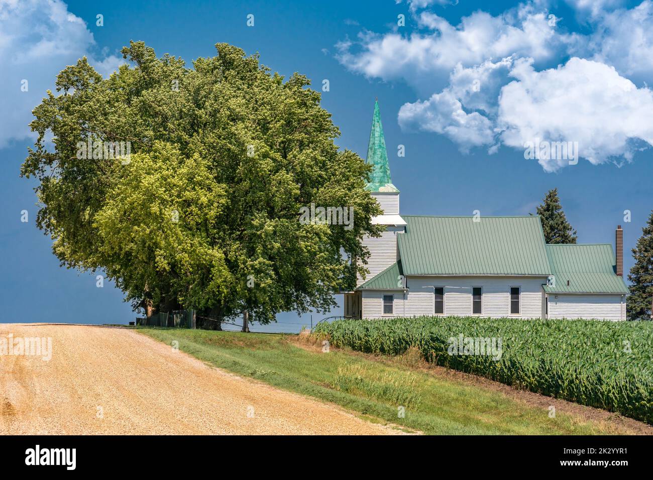 White church next to corn field in southwest Minnesota. Stock Photo