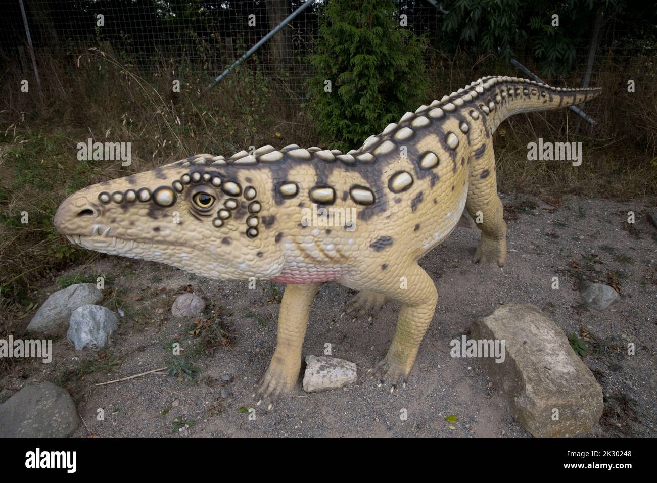 Lifesize model of Ornithosuchus dinosaur Stock Photo