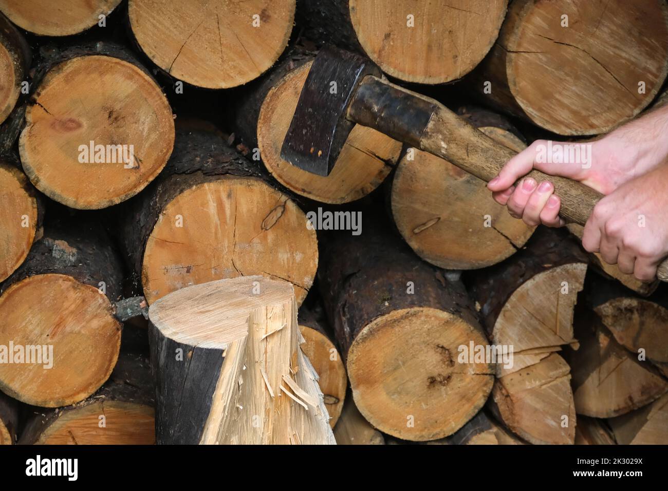 A man is chopping logs with an axe on chopping block. Harvesting of firewood stocks for heating. An alternative source of thermal energy instead of natural gas. Stock Photo