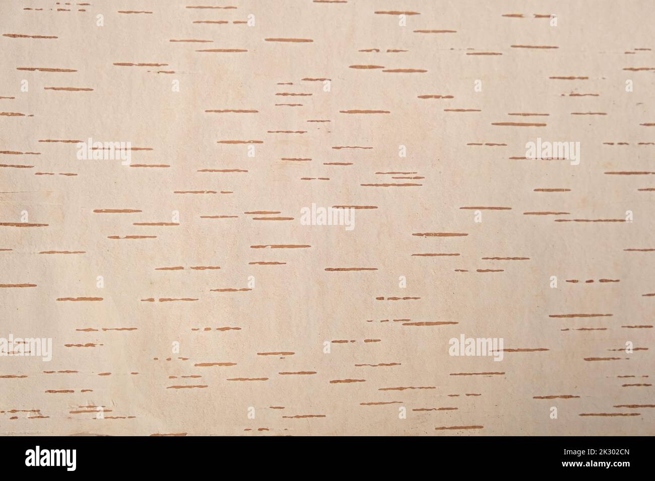 The texture of birch bark. Background of birch bark. Red birch bark. The texture of white birch bark. Stock Photo