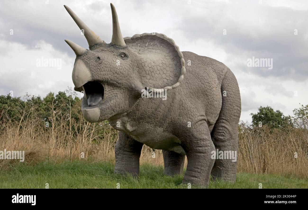 Dinosaur model of Triceratops All Things Wild, Honeybourne, UK Stock Photo