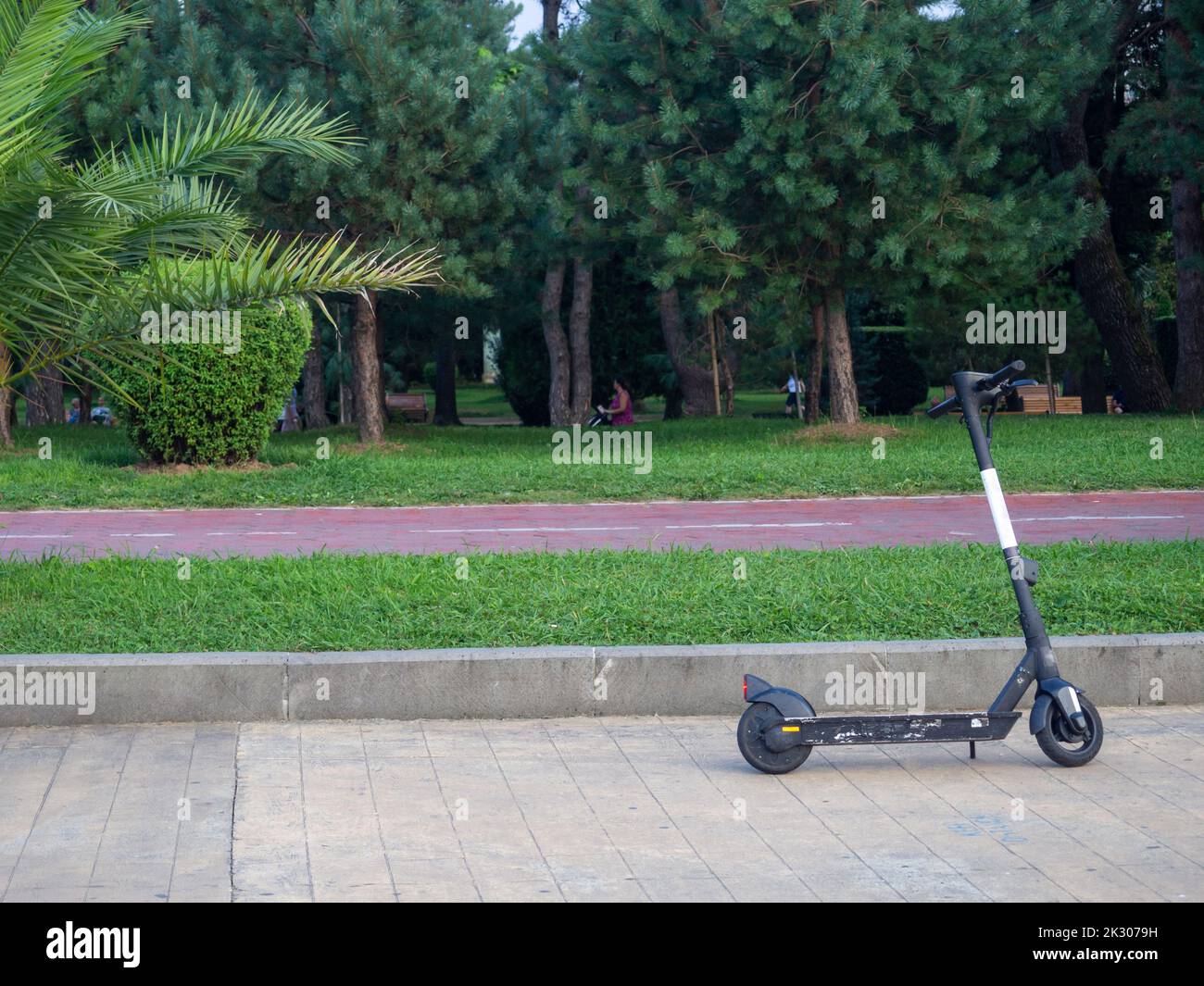 Electric scooters on the alley in the city park. Modern vehicle. Two-wheeled transport. Entertainment at the resort. Stock Photo