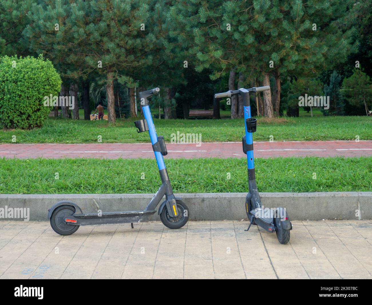 Electric scooters on the alley in the city park. Modern vehicle. Two-wheeled transport. Entertainment at the resort. Stock Photo
