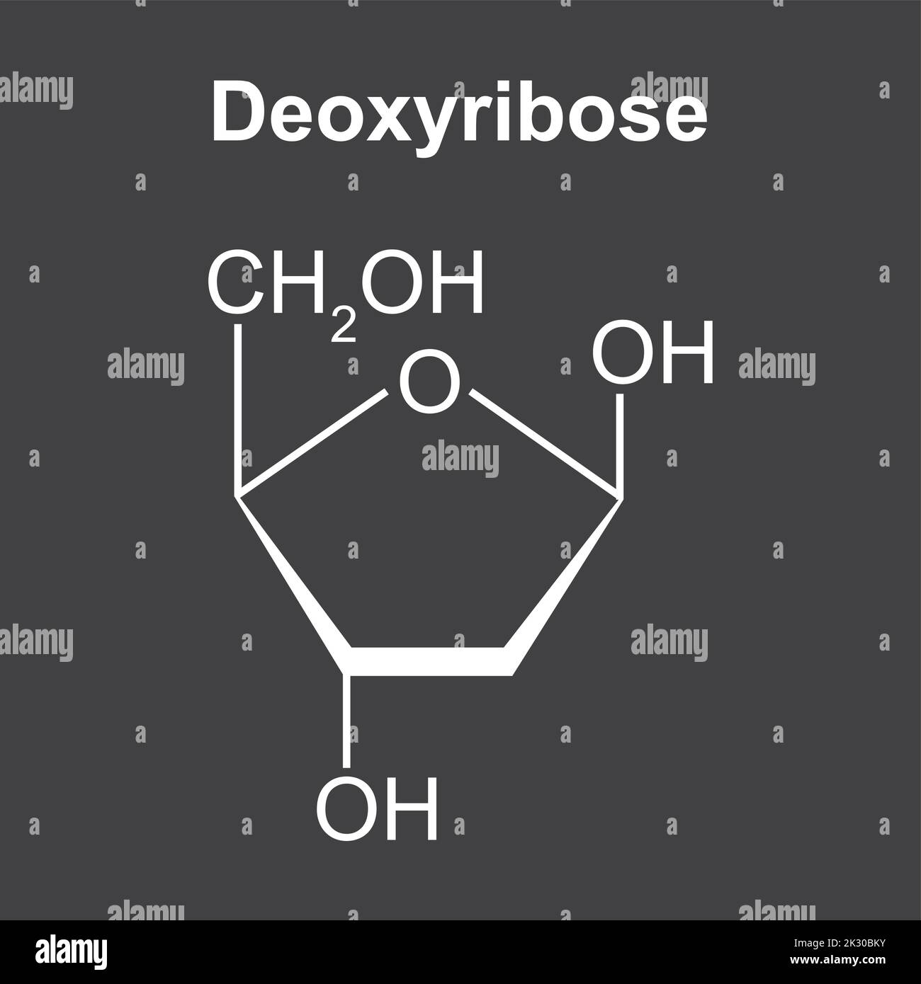 Deoxyribose Function where-is-tertia-optica-area-located-in-the-brain-diagram-brainly