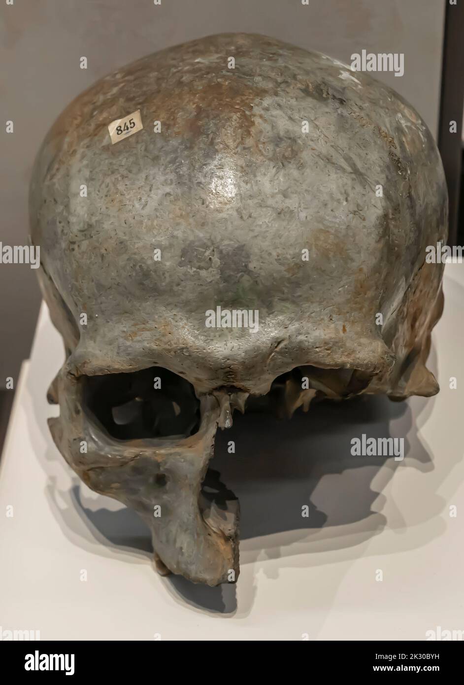 Male cranium - neolithic - Cerro Virtud, Almeria, Iberian peninsula. Stock Photo