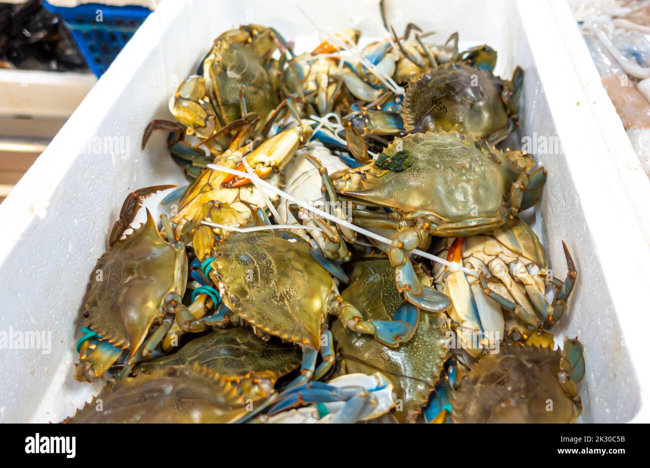 Callinectes sapidus the blue crab, Atlantic blue crab, or regionally as the Chesapeake blue crab sold at Mercado de Los Mostenses, Madrid, Spain Stock Photo