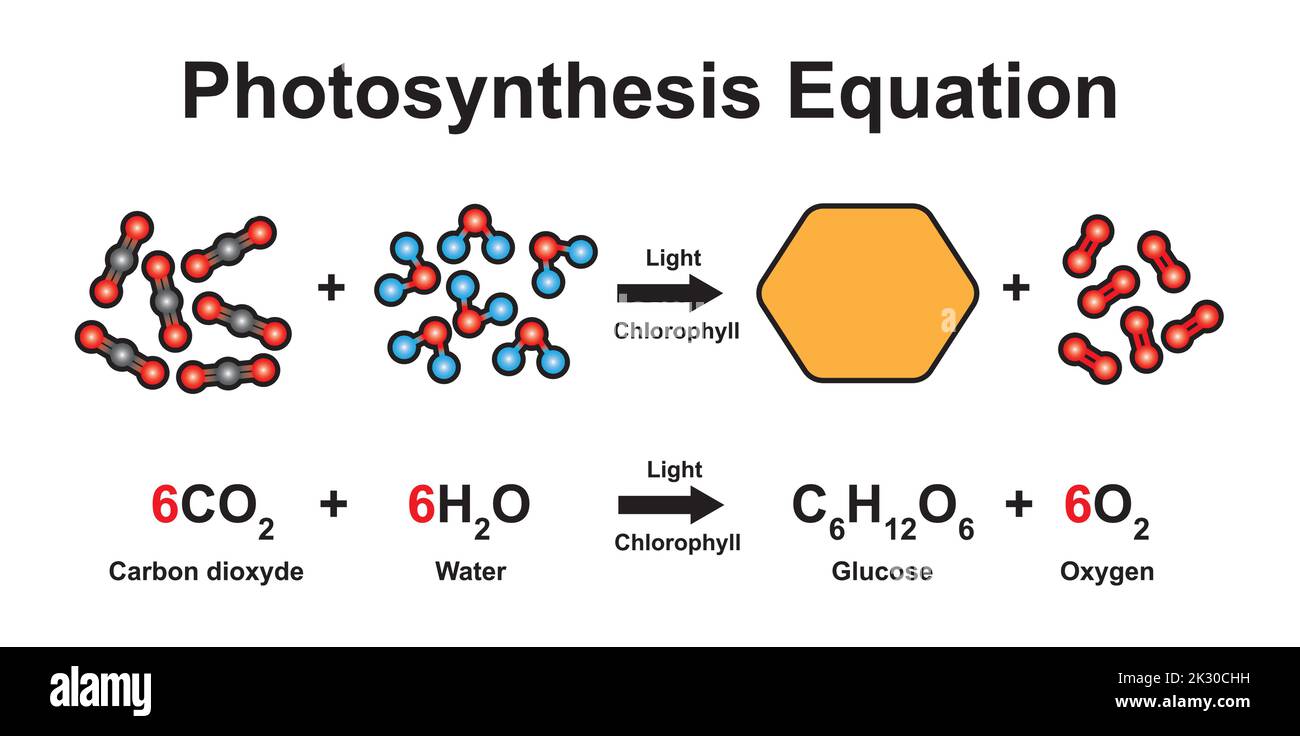 Scientific Designing of Photosynthesis Equation. Using The Molecular Model Of Atoms. Colorful Symbols. Vector Illustration. Stock Vector