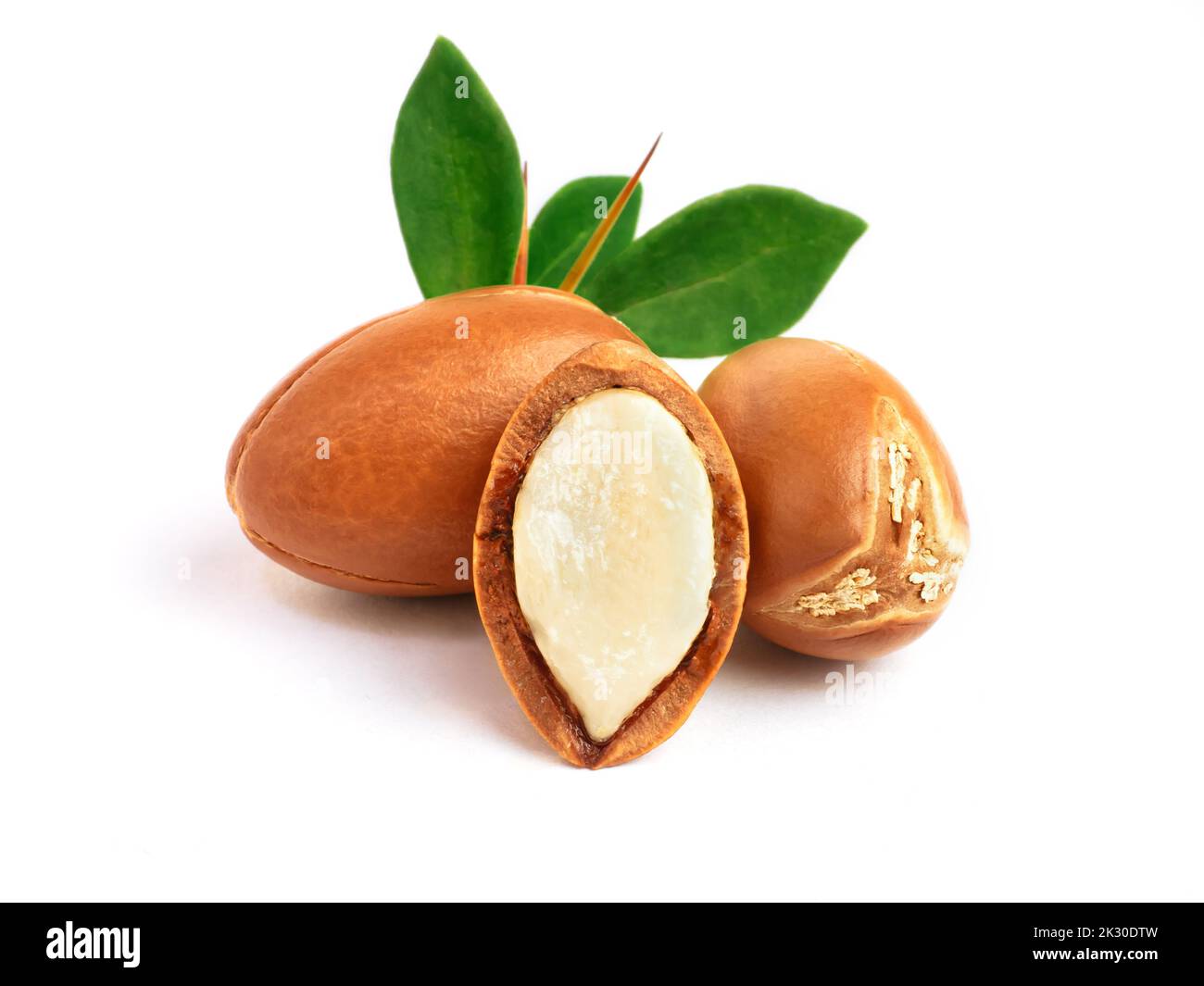 Argan nuts with green leaves on isolated white background. Moroccan