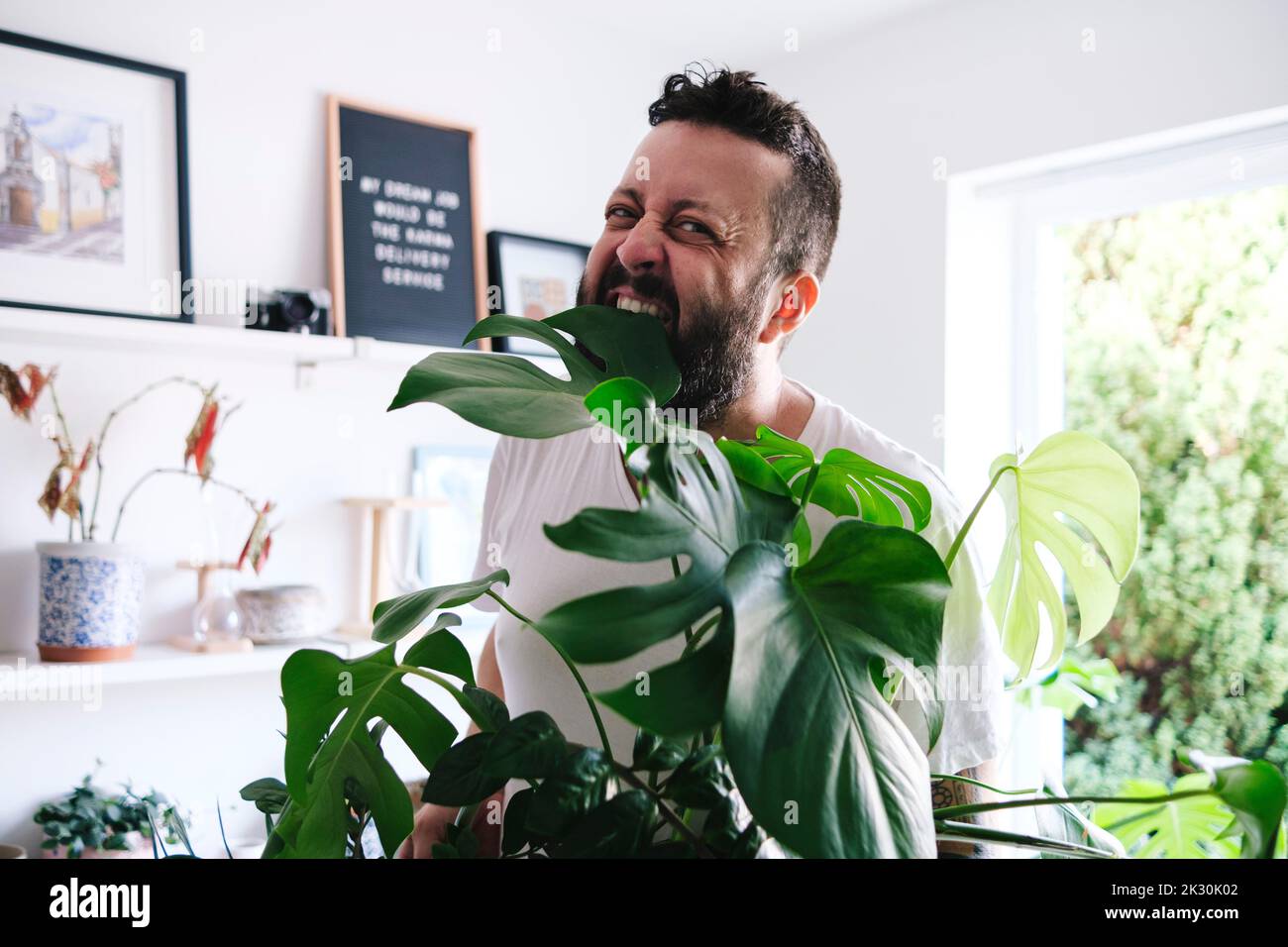 Home biting hi res stock photography and images Alamy