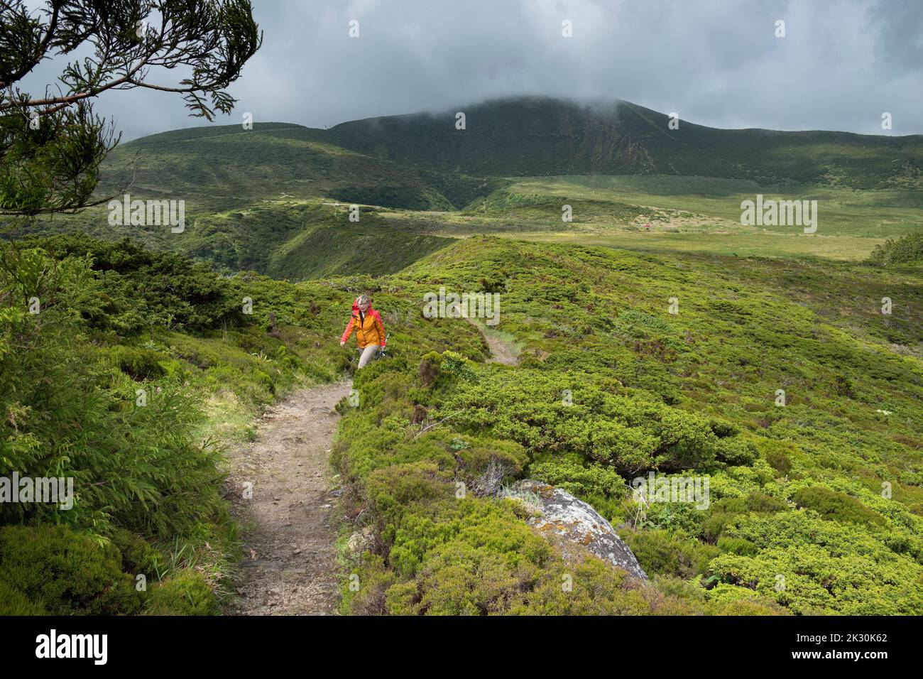 Senior woman walking amidst plants, Morro Alto and Pico da Se mountains, Flores Island, Azores, Portugal Stock Photo