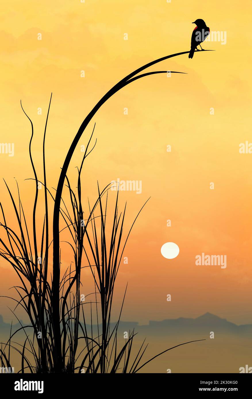 A red winged black bird rests on a plant as the sun sets behind him in this 3-d illustration. Stock Photo
