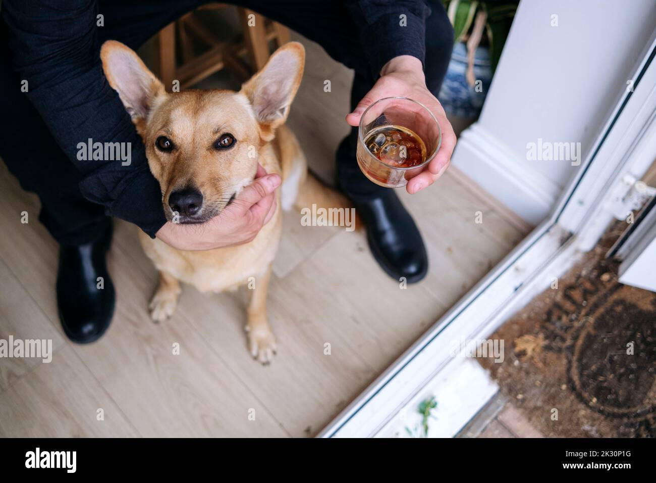 Owner stroking dog holding whiskey glass sitting near doorway Stock