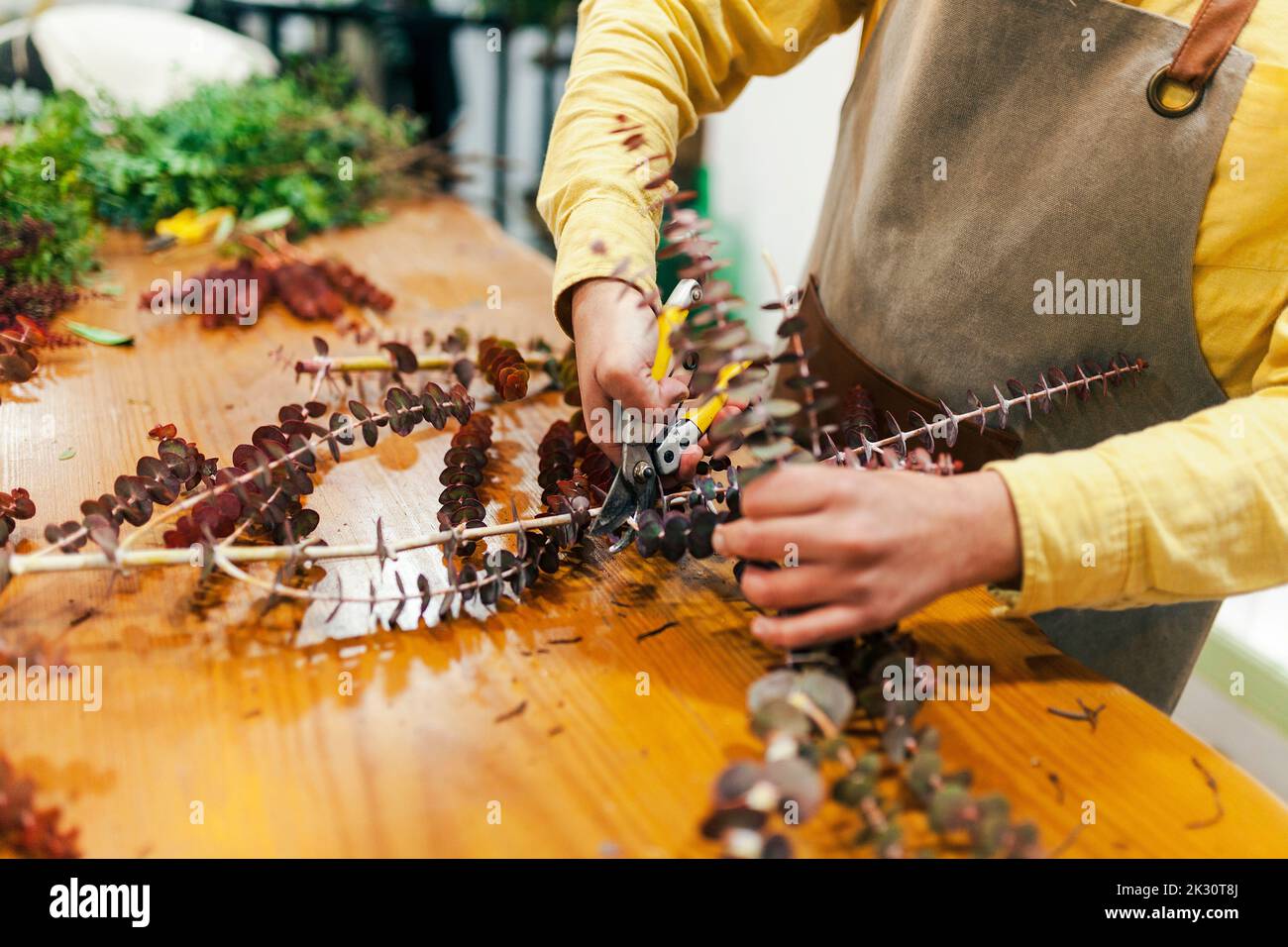 Craftsman cutting stem of plant at flower shop Stock Photo