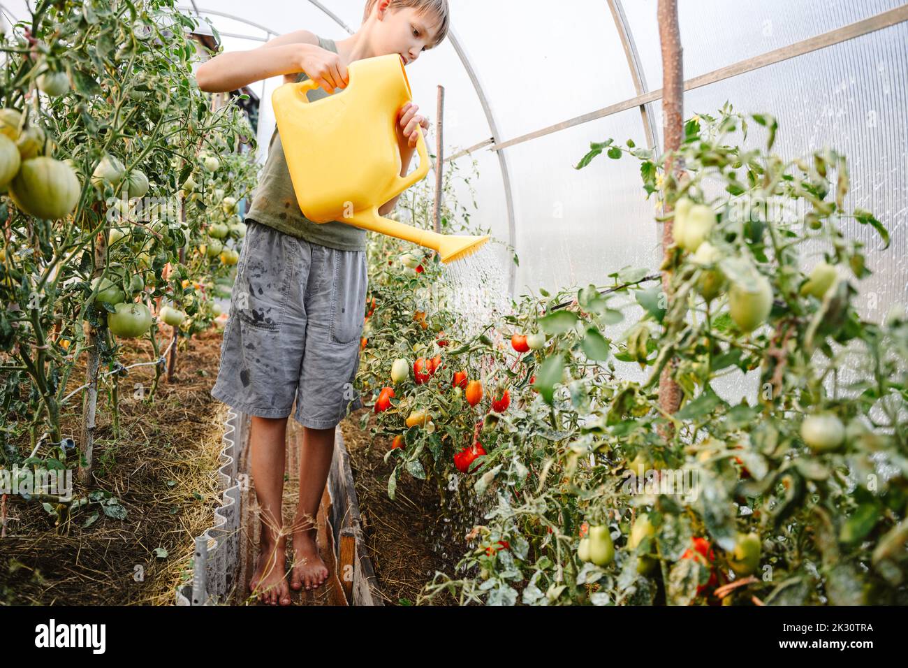 Boy watering plants hi-res stock photography and images - Alamy