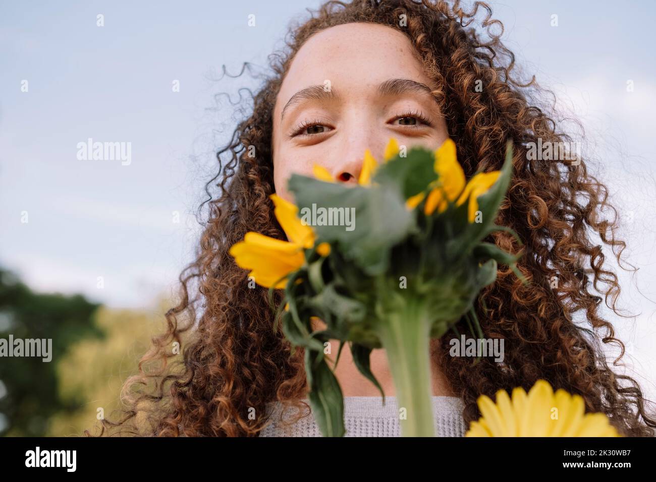 Young woman holding sunflower in front of face Stock Photo - Alamy