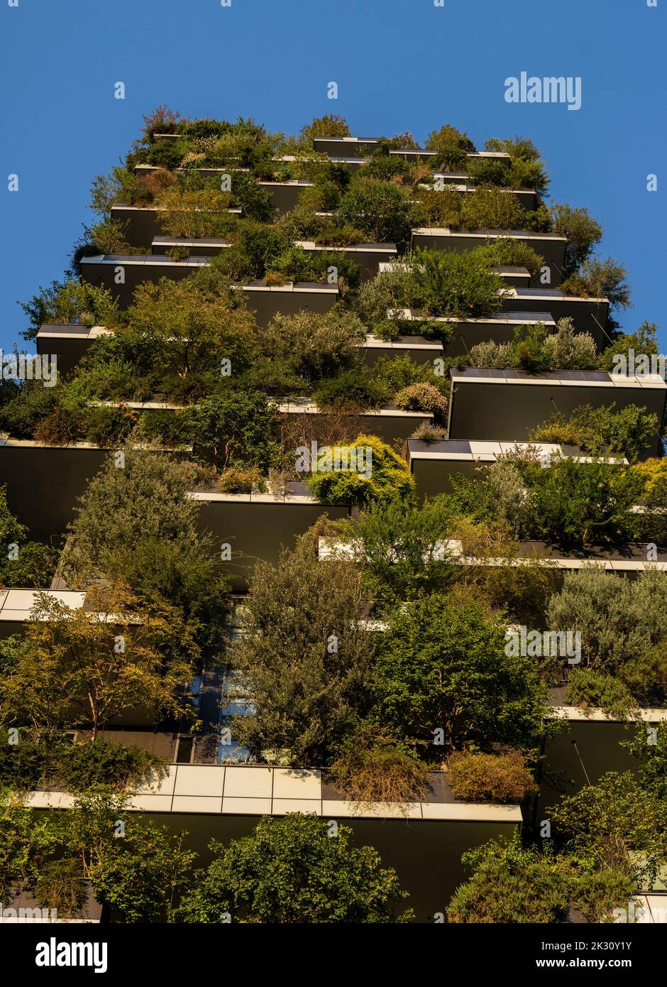 Image showcasing Modern apartment with lush vertical garden Stock Photo - Alamy