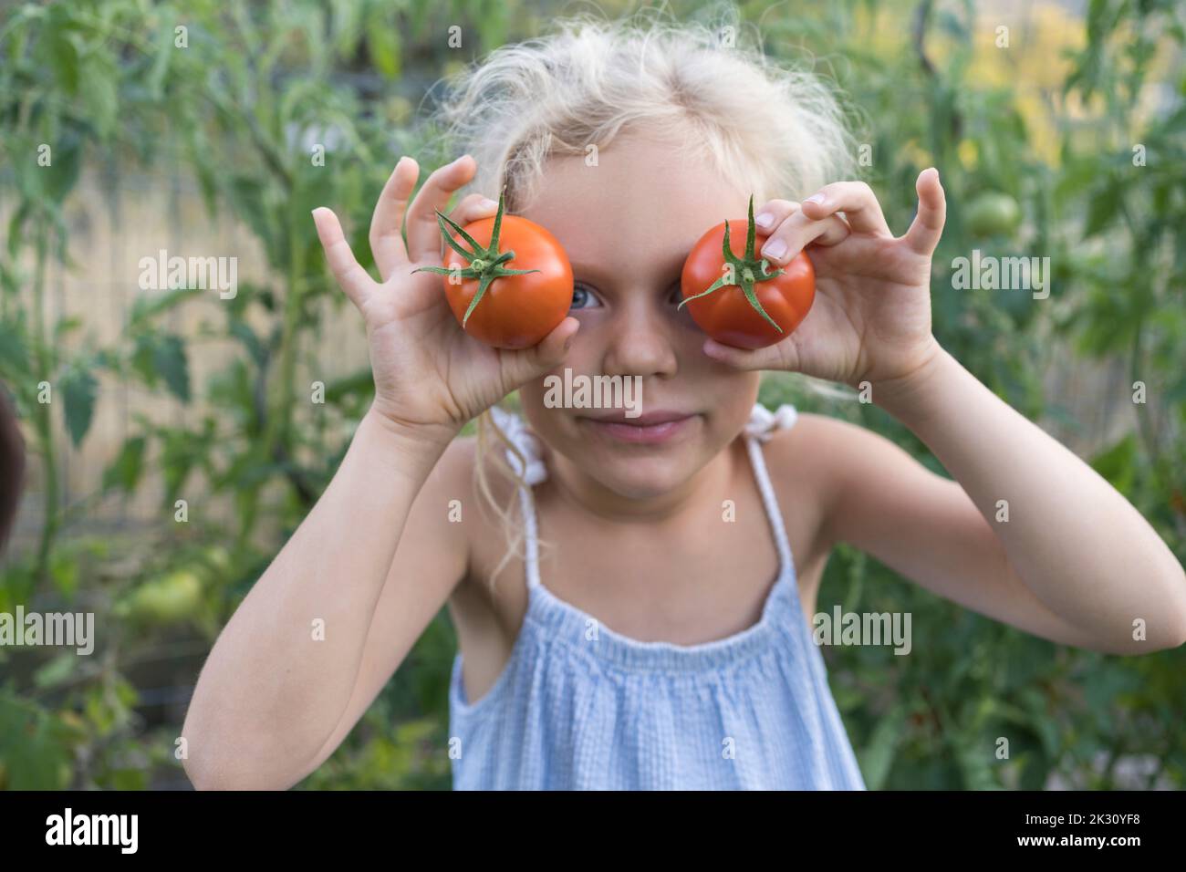 Girl holding tomatoes in front of eyes in garden Stock Photo - Alamy