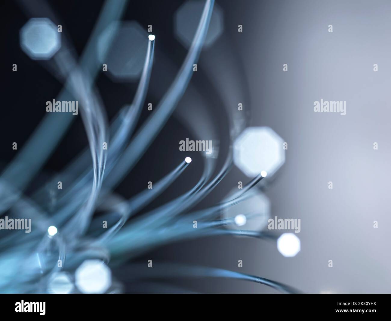 Optical fibers against gray background Stock Photo