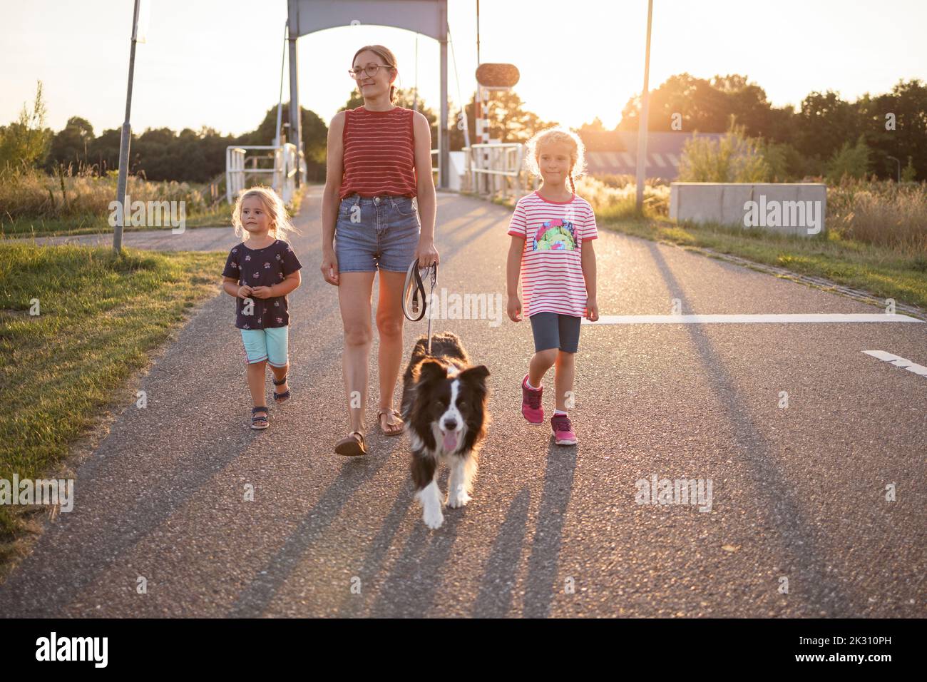 Girls and mother walking with dog on road at sunset Stock Photo